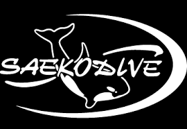 saekodive divegear dykutrustning we dive scubastore